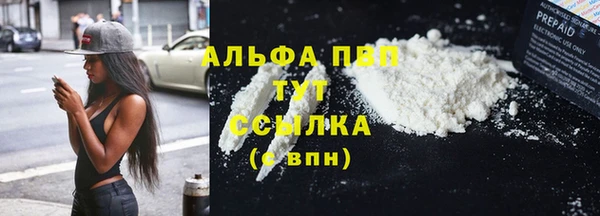 apvp Алексин