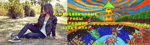 apvp Алексин