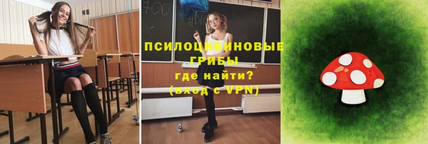 ешки Абинск