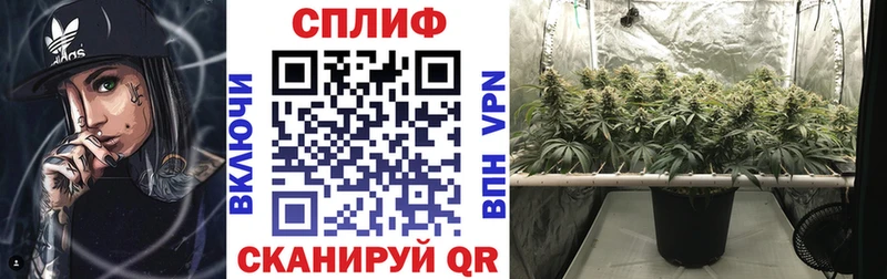 хочу darknet состав Бошки марихуана план Сочи